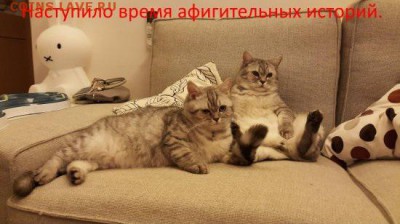 Ну а теперь про Украину - истории