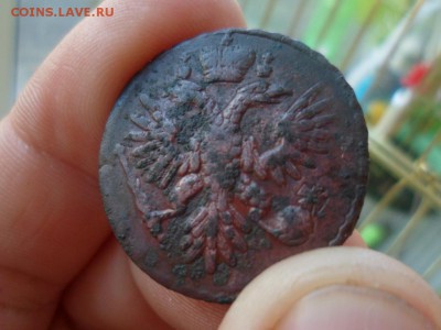денга 1735 - SAM_3706.JPG