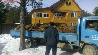 Скульптуры из балбаха и прочее! Балбах - навоз як. - IMAG0297