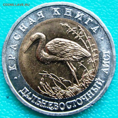 Красная Книга 1993 АИСТ до 16.04.15 22-00 МСК - IMG_0009.JPG