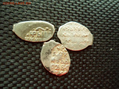 3 чешуйки на определение и предпродажную оценку - SAM_5211.JPG