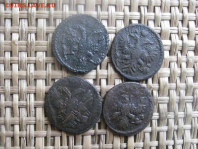 Полушки, 4 шт. 1731, 1734, 1735г.г. Переч, брак. До 17.04.15 - 17 и 18 003.JPG