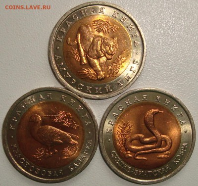 Куплю КК 92 года - 4.JPG