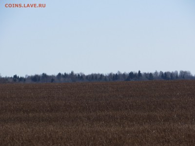 Покопушки от Русланыча . - IMG_1763.JPG