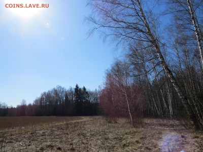 Покопушки от Русланыча . - IMG_1762.JPG