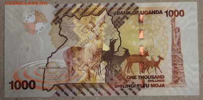 1000 шиллингов 2010 Уганда до 15.04 - IMG_3669.JPG