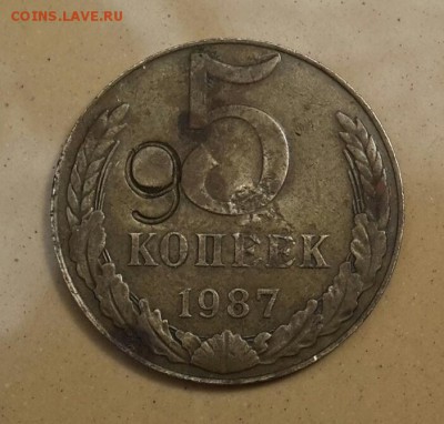 5 копек 1979  на оценку . - 20150412_132456-1