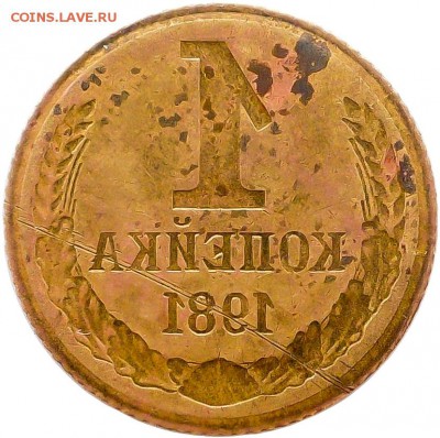 1 коп._1981 ЗАЛИПУХА-Инкуз. Реверс-Реверс. - Копейка№1