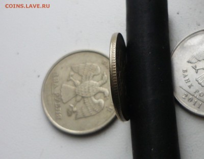 1р 2006р грибок малый поворот - P1120186.JPG