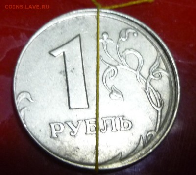 1р 2006р грибок малый поворот - P1120816.JPG