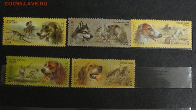 СССР, 1988, Охотничьи собаки, полн. сер., чист. - DSC05120.JPG