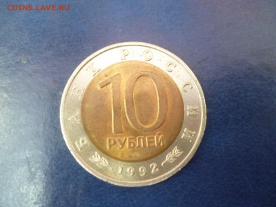 Краснозобая казарка до 16.04.2015 22-00 Мск - R1