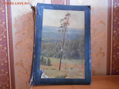 Фотоальбом с фотографиями 101 шт. 16.04.15. - DSCN2374[1].JPG