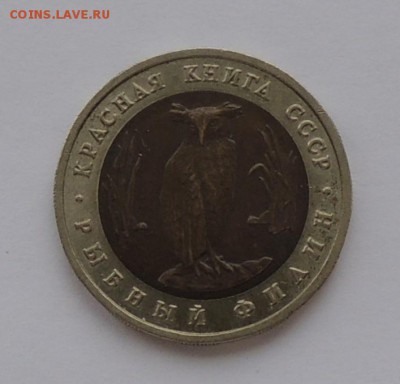 КК 5 руб. 1991 г. "Рыбный филин" до 20.04.15 г. 22:00 (мск) - DSCN0074.JPG