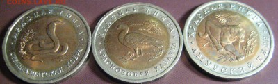 10 рублей КК 1992 3 монеты в блеске до 17.04.15 22.00 - IMG_0902.JPG