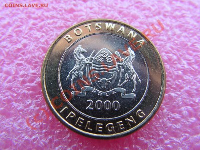 -БМ-Ботсвана- 5 пула 2000 -- 26 июня 21-00 - PICT0764.JPG