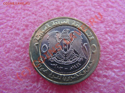 -БМ-Сирия- 25 фунт 2003 -- 26 июня 21-00 - PICT0777.JPG
