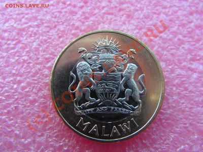 -БМ-Малави- 10 квача 2006 -- 26 июня 21-00 - PICT0712.JPG