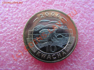 -БМ-Малави- 10 квача 2006 -- 26 июня 21-00 - PICT0711.JPG