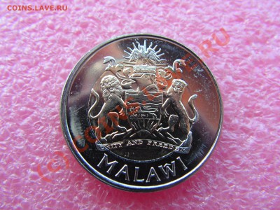 -БМ-Малави- 5 квача 2006 -- 26 июня 21-00 - PICT0714.JPG