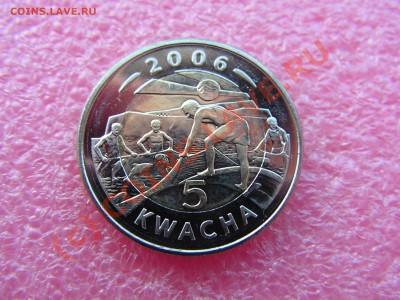 -БМ-Малави- 5 квача 2006 -- 26 июня 21-00 - PICT0713.JPG