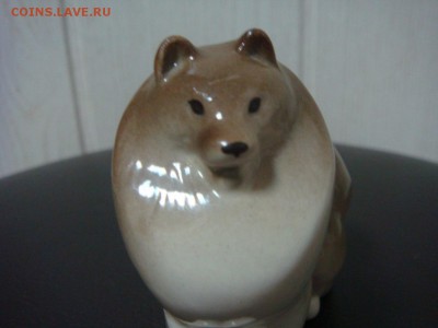 Собака ШПИЦ,ЛФЗ - DSC01039.JPG