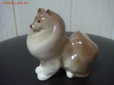 Собака ШПИЦ,ЛФЗ - DSC01037.JPG