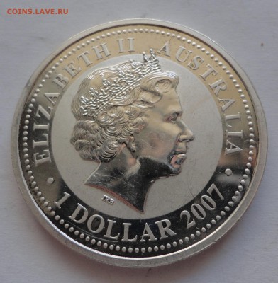 Австралия, 1 доллар, 2007 год, Год Крысы, позолота, до 16.04 - DSC00923.JPG