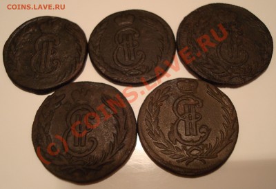 1 коп сибирь 5шт. на оценку - DSC04793.JPG