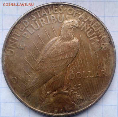 один доллар 1922г оценка - папка12 007