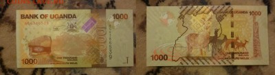 ДК Уганда 1000 шиллингов пресс Олени 22.04 22.00 - P1170877.JPG