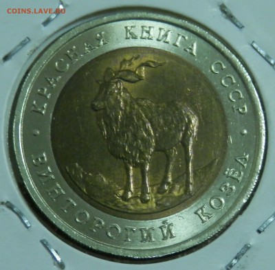 КК Винторогий козел 5 руб 1991 г. (до ухода в архив) - 3.JPG
