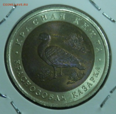 КК Краснозобая казарка 10 р 1992 г. (до ухода в архив) - 7.JPG