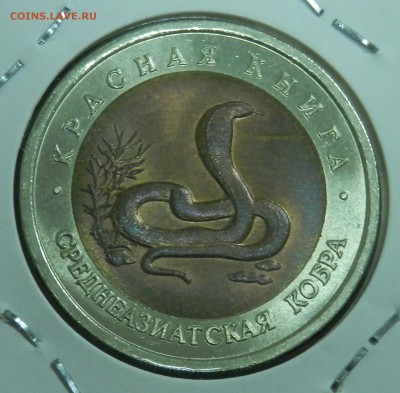 КК Среднеазиатская кобра 10 р 1992 г. (до ухода в архив) - 11.JPG