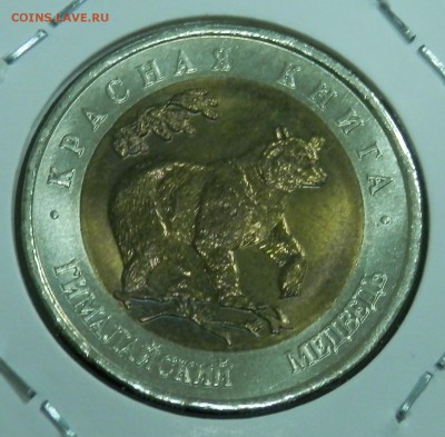 КК Гималайский медведь 50 р 1993 (до ухода в архив) - 13.JPG