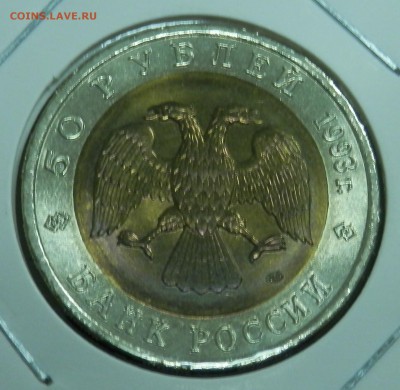 КК Гималайский медведь 50 р 1993 (до ухода в архив) - 14.JPG