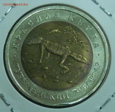 КК Туркменский зублефар 50 р 1993 (до ухода в архив) - 15.JPG