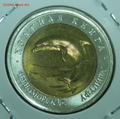 КК Черноморская афалина 50 р 1993 г. (до ухода в архив) - 19.JPG