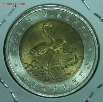 КК Фламинго 50 р 1994 г (до ухода в архив) - 23.JPG