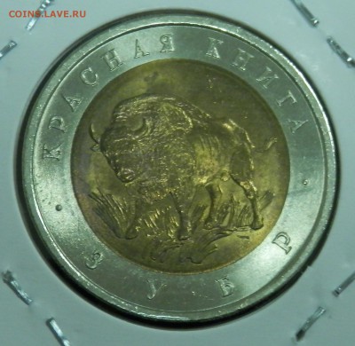 КК Зубр 50 р 1994 г (до ухода в архив) - 27.JPG