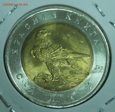 КК Сапсан 50 р 1994 г (до ухода в архив) - 31.JPG