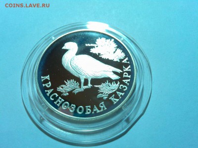 1 рубль 1994г, Казарка, до 19.04.2015г. - IMG_20150417_202403_thumb