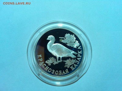 1 рубль 1994г, Казарка, до 19.04.2015г. - IMG_20150417_202354_thumb