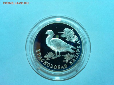 1 рубль 1994г, Казарка, до 19.04.2015г. - IMG_20150417_202350_thumb