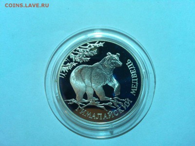 1 рубль 1994г, Медведь, до 19.04.2015г. - IMG_20150417_202256_thumb