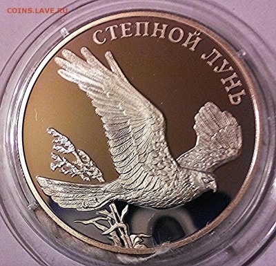 Степной Лунь, 1 рубль, 2007 г, серебро. - IMG_20150418_071716