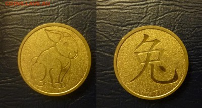 ДК Жетон СПМД Год кролика 23.04 22.00 - P1170801.JPG