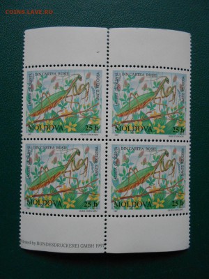 Молдова, насекомые, квартблок, чистый, до 24.04.2015 - DSCN5990.JPG
