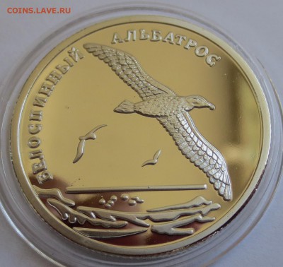2 рубля 2010 Олень,Гюрза ,Альбатрос -3 шт - IMG_3419.JPG