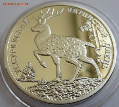 2 рубля 2010 Олень,Гюрза ,Альбатрос -3 шт - IMG_3423.JPG